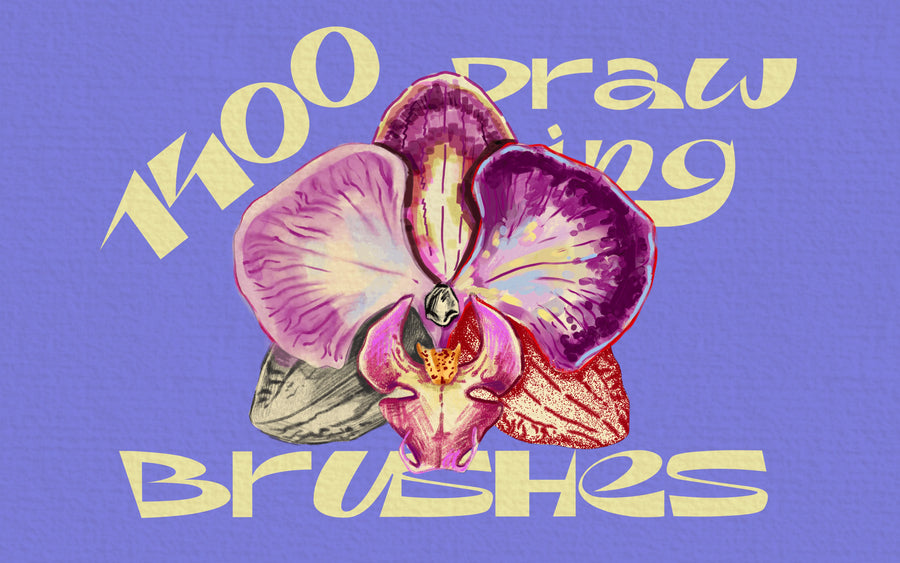 Drawing Procreate Brushes – 1400 Brushes & Textures
