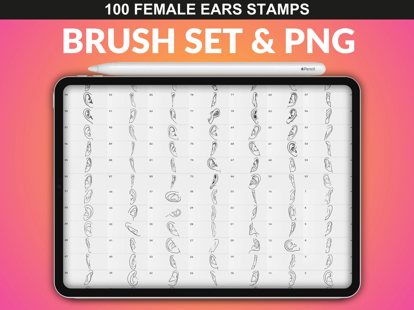 FUPstudio Female Ears Procreate Stamp Brush Set & PNG collection displaying 100 unique ear illustrations.