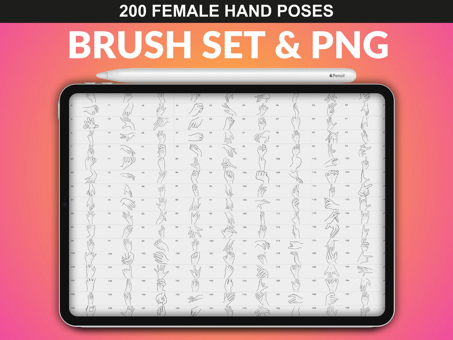 Brush set and PNG preview of 200 Female Hands Procreate Stamps from FUPstudio.