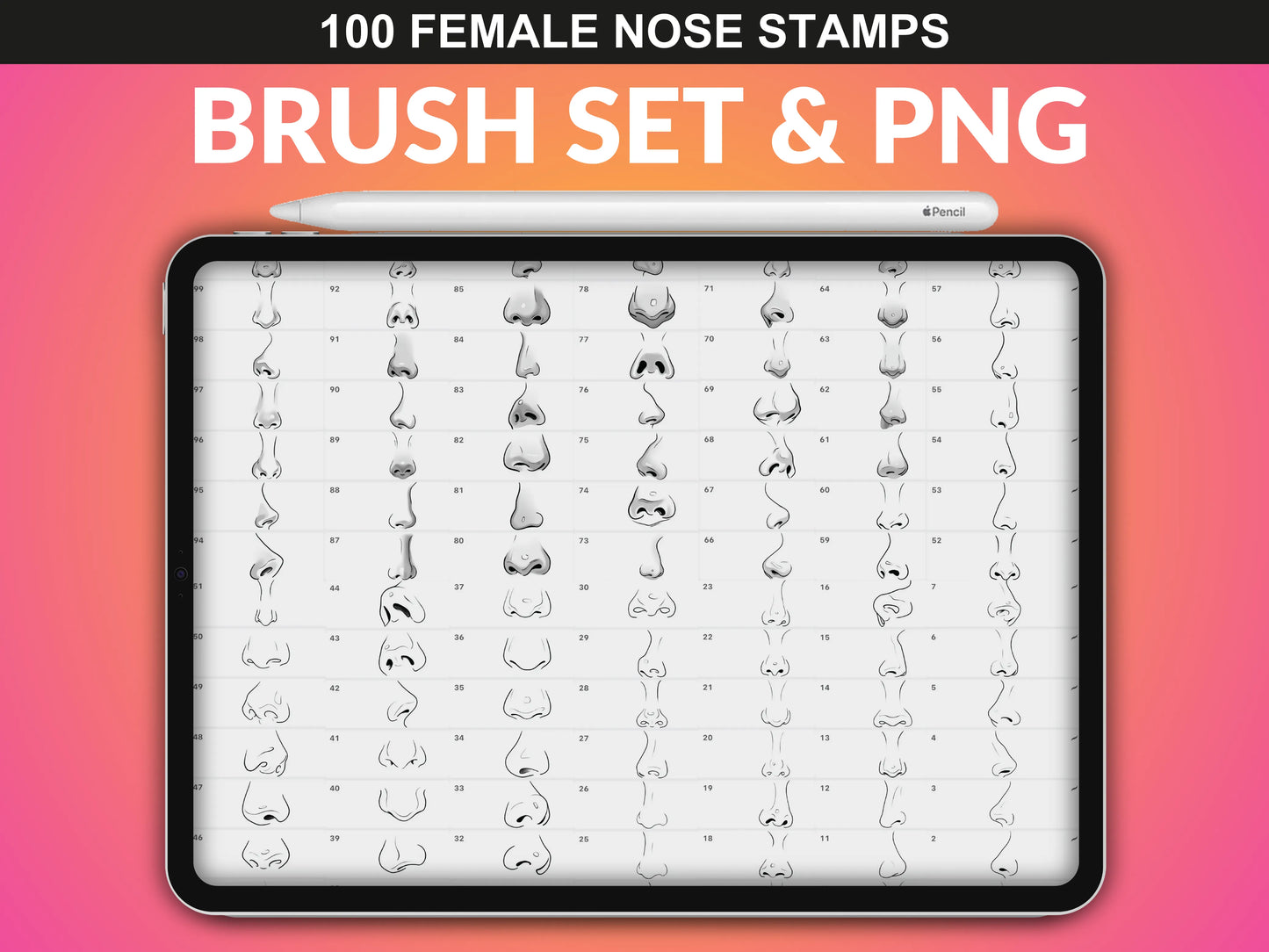 FUPstudio Female Noses Procreate Stamp Brush Set & PNG collection showcasing 100 unique nose references for character design.