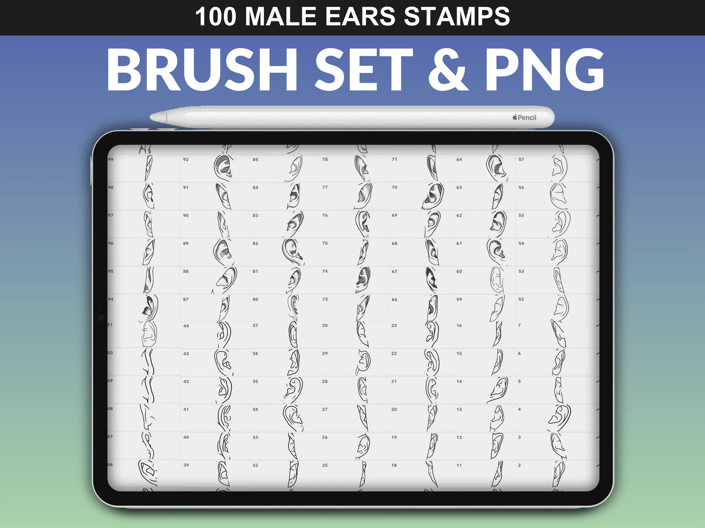 Brush set preview of FUPstudio Male Ears Procreate Stamps, featuring 100 unique ear stamps.